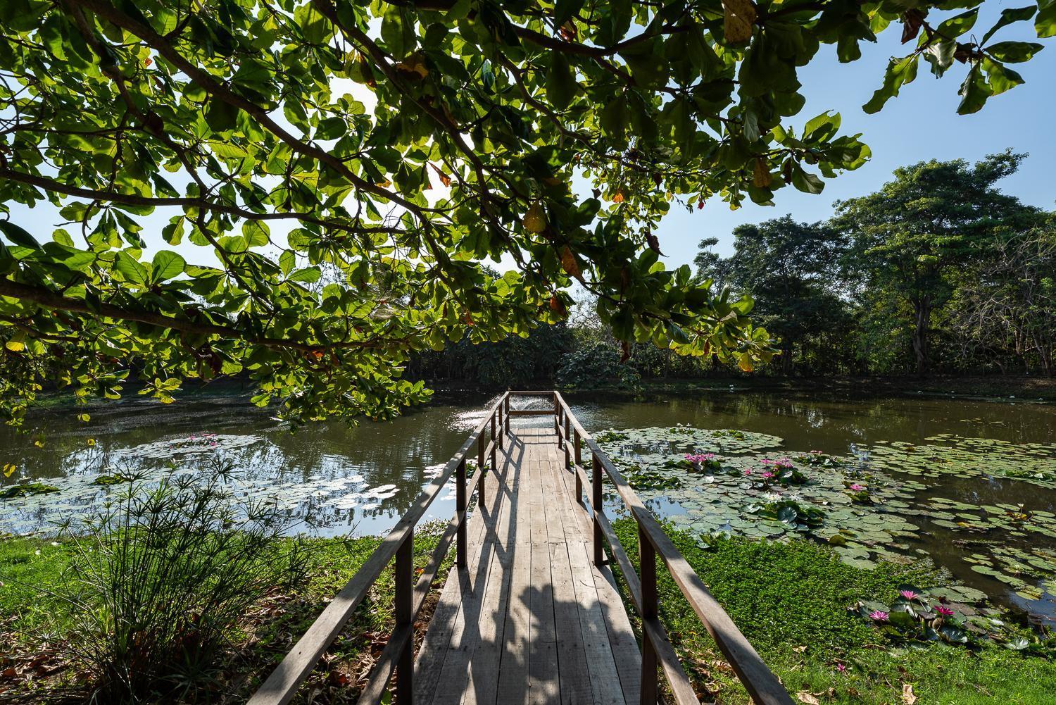 Aite Eco Resort بالومينو المظهر الخارجي الصورة