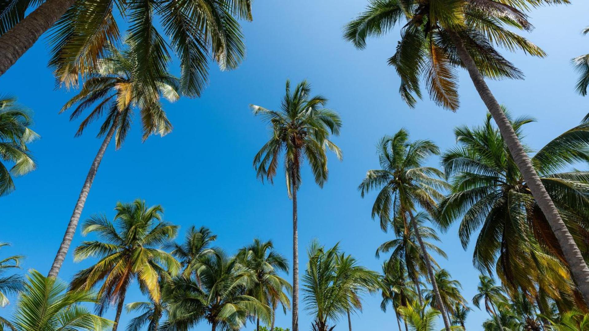 Aite Eco Resort بالومينو المظهر الخارجي الصورة
