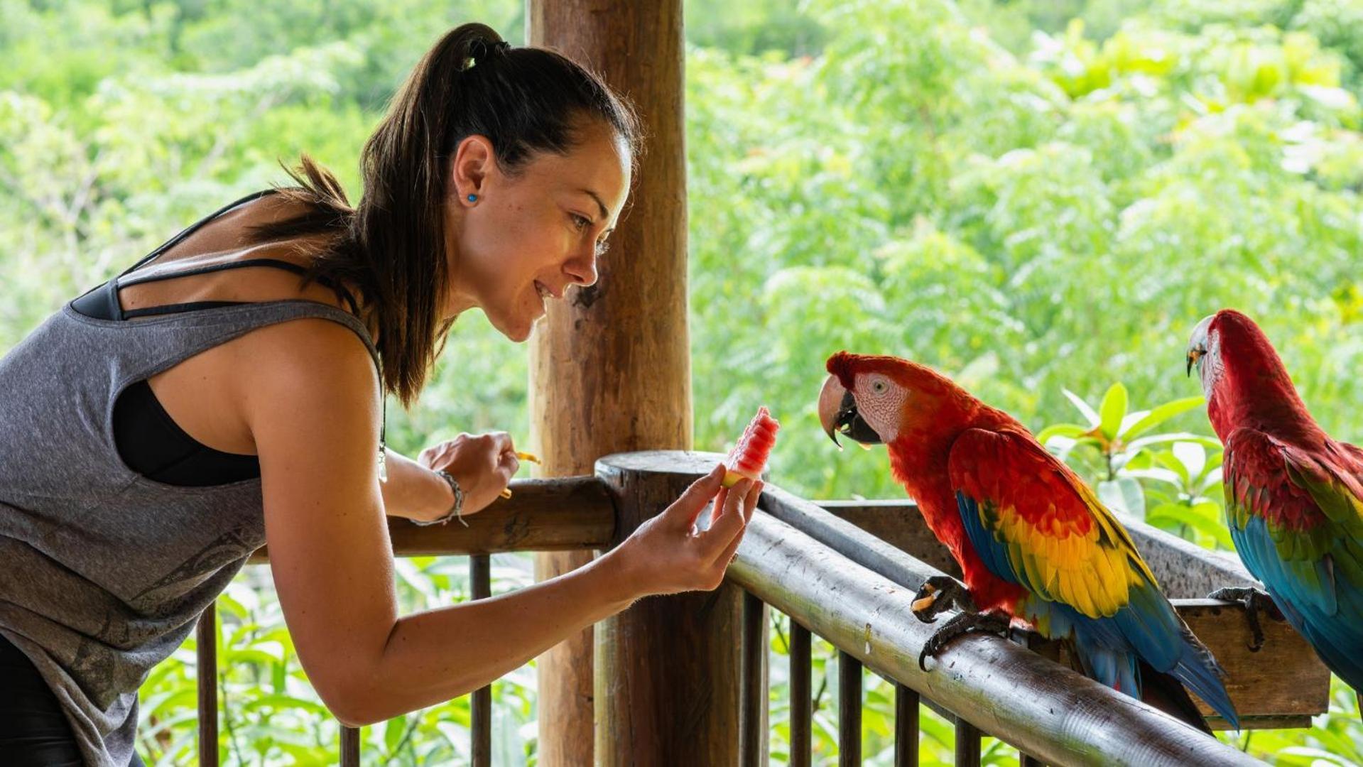 Aite Eco Resort بالومينو المظهر الخارجي الصورة