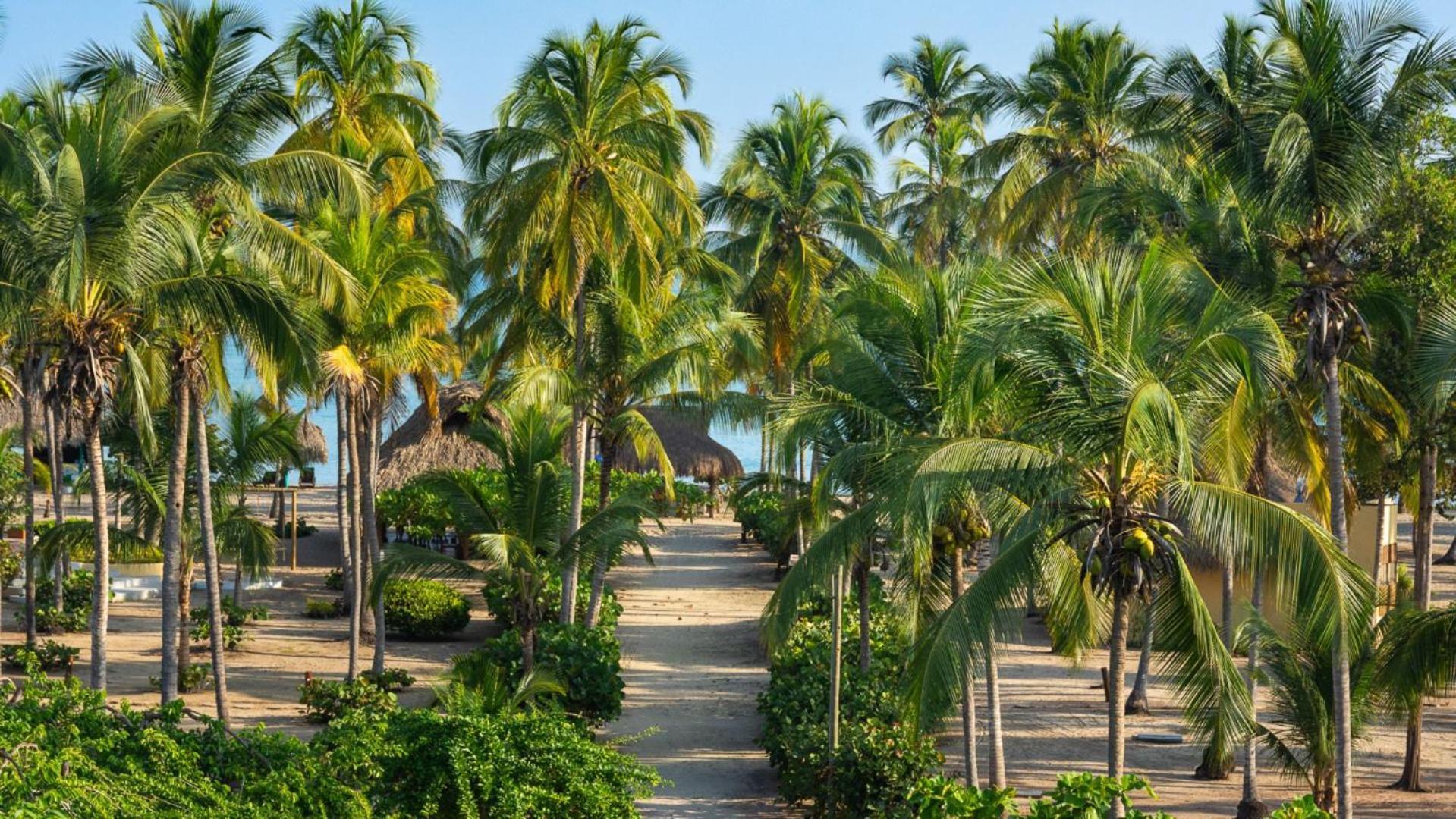 Aite Eco Resort بالومينو المظهر الخارجي الصورة