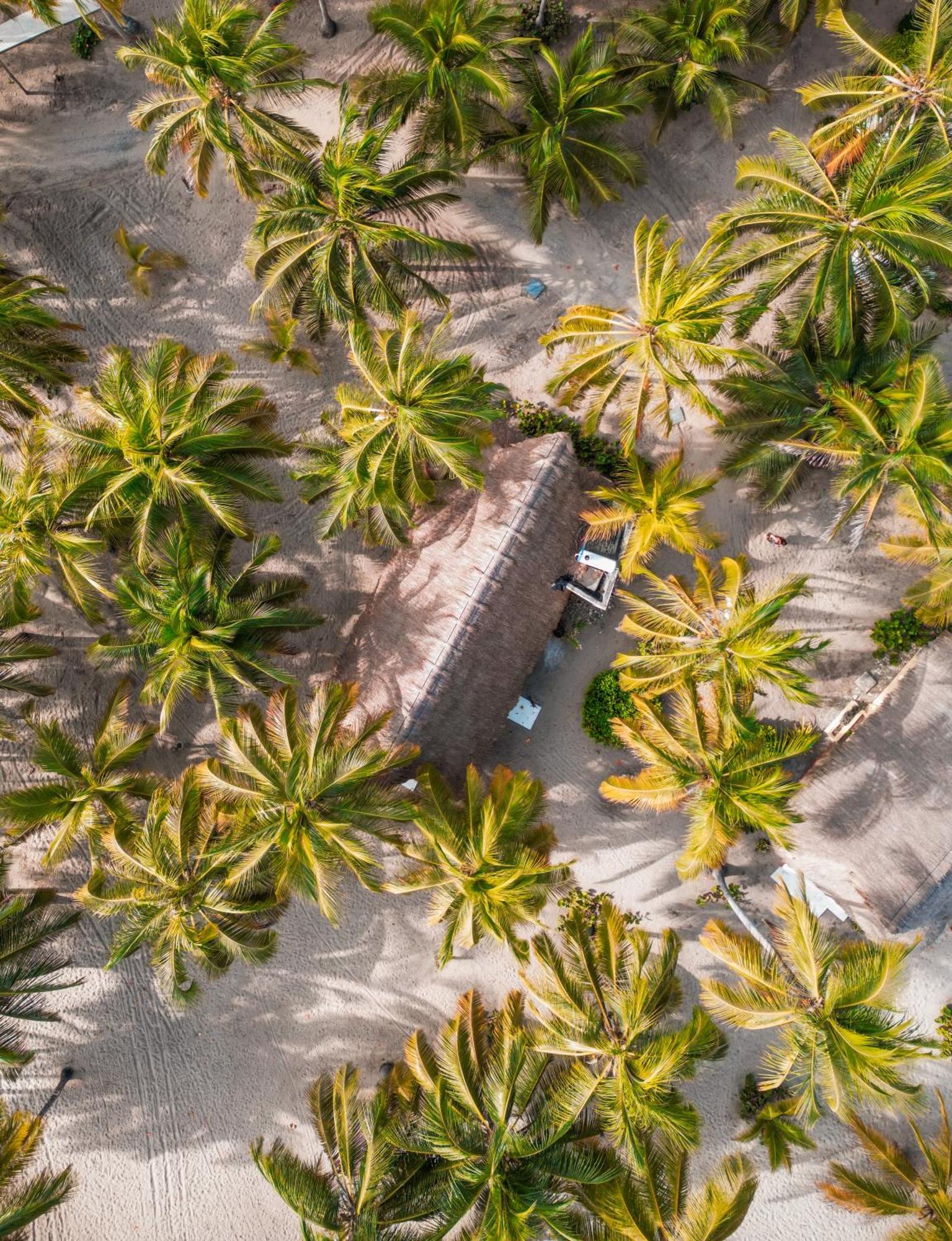 Aite Eco Resort بالومينو المظهر الخارجي الصورة